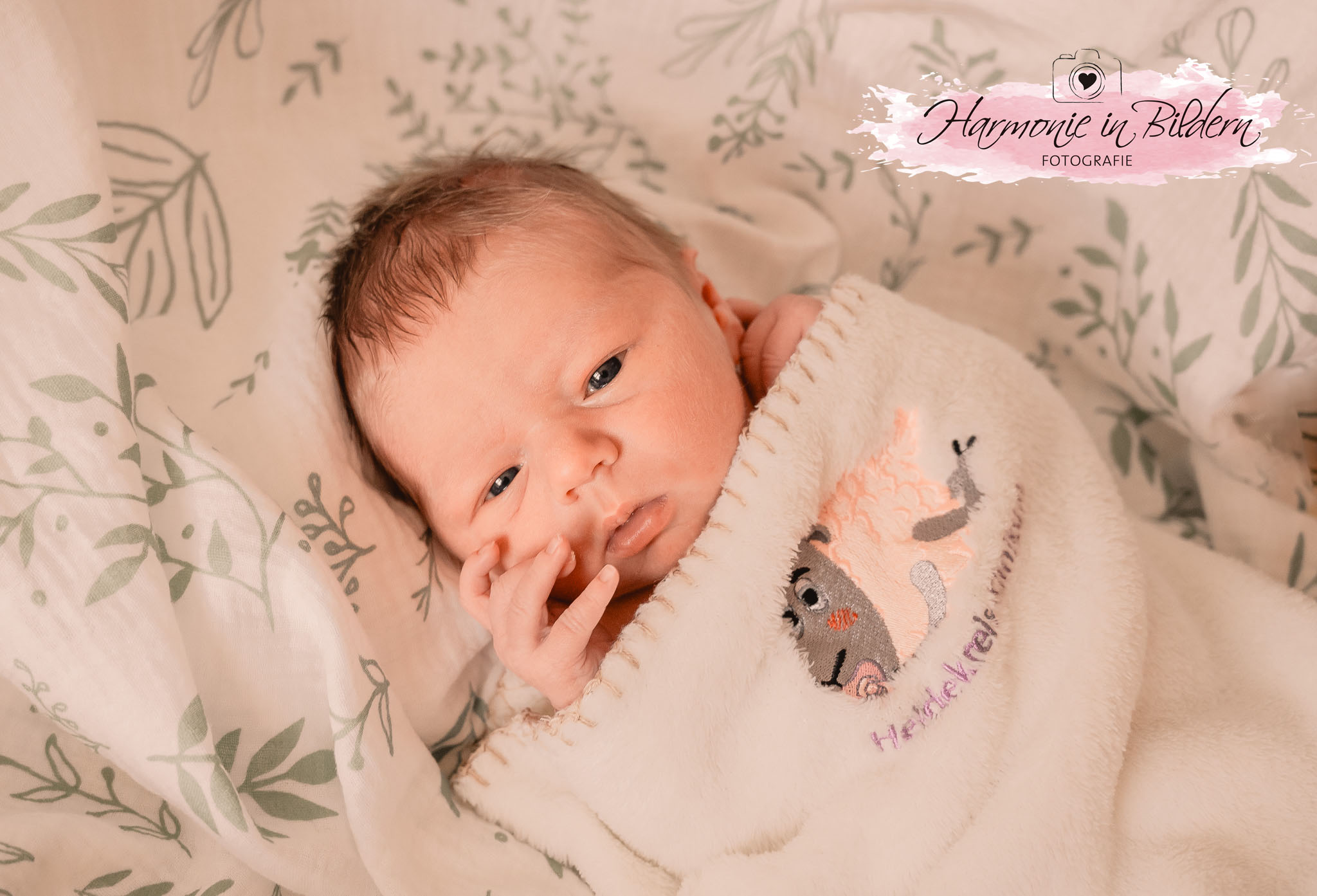 Foto eines Neugeborenen auf einer Babydecke.