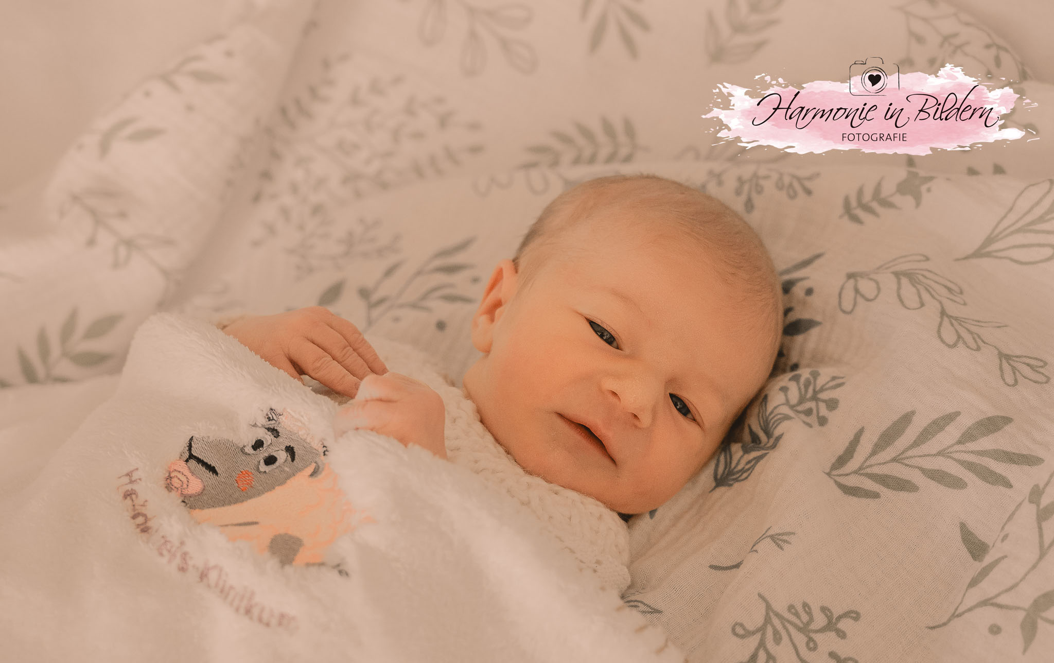 Foto eines Neugeborenen auf einer Babydecke.