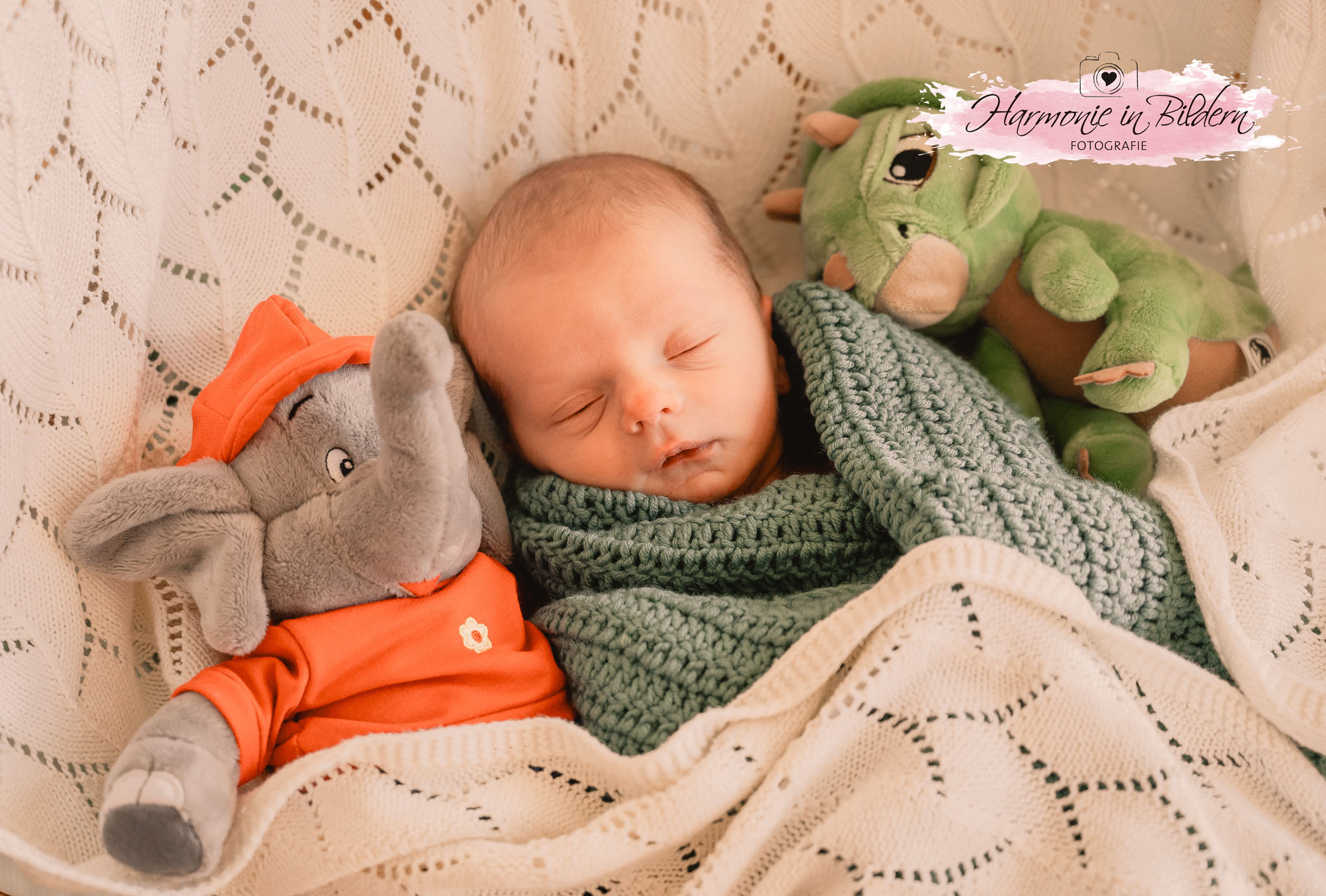 Ein Neugeborenes liegt auf einer weißen Strickdecke und ist zusätzlich in eine grüne Strickdecke gewickelt. Rechts des schlafenden Kindes liegt ein Benjamin-Blümchen-Plüschtier mit orangenem Hut und T-Shirt, links ein grünes Dinosaurier-Plüschtier. Rechts oben im Bild ist eine Kennzeichnung in Form eines rosa Farbklexes zu sehen. Über dem Klex ist eine gezeichnete Kamera mit Herz im Objektiv abgebildet. Darunter steht handgeschrieben Harmonie in Bildern Fotografie