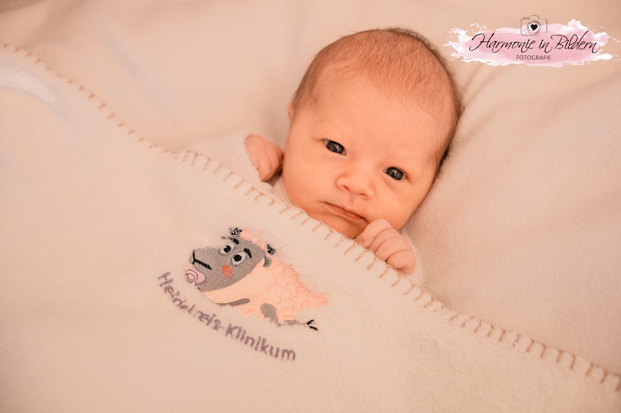 "Ein Neugeborenes schaut aus schwarzen Augen mit wachem Blick in die Kamera. Es hat die Arme ans Kinn gezogen und liegt in eine weiße Fleecedecke eingekuschelt. Die Fleecedecke hat eine Stickerei, die das Motiv eines Schafs zeigt unter dem der Schriftzug Heidekreis-Klinikum steht. Rechts oben im Bild ist eine Kennzeichnung in Form eines rosa Farbklexes zu sehen. Über dem Klex ist eine gezeichnete Kamera mit Herz im Objektiv abgebildet. Darunter steht handgeschrieben Harmonie in Bildern Fotografie. "