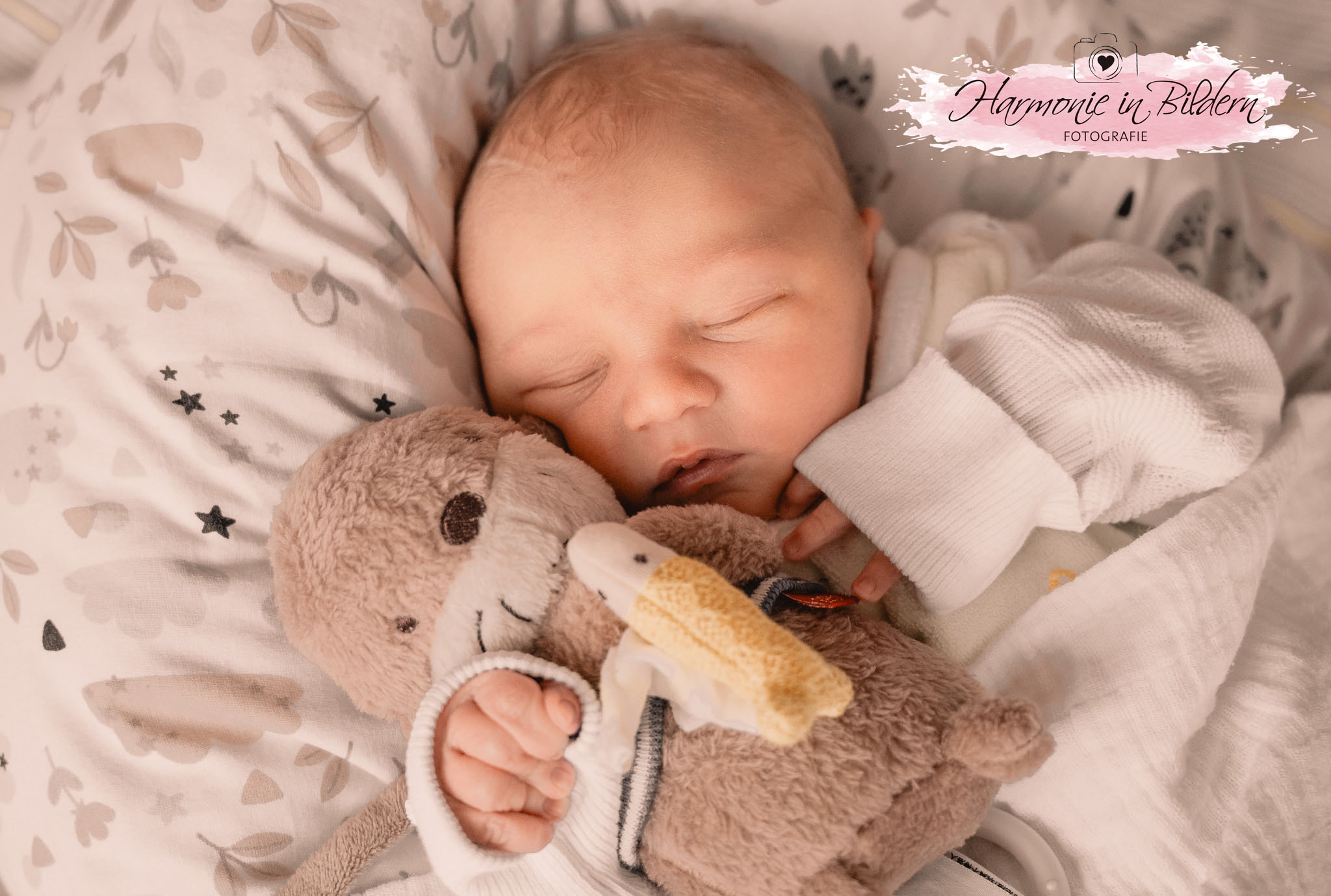 Ein blondes Neugeborenes umarmt ein Plüschtier. Beide liegen auf einer weichen Decke.Rechts oben im Bild ist eine Kennzeichnung in Form eines rosa Farbklexes zu sehen. Über dem Klex ist eine gezeichnete Kamera mit Herz im Objektiv abgebildet. Darunter steht handgeschrieben Harmonie in Bildern Fotografie