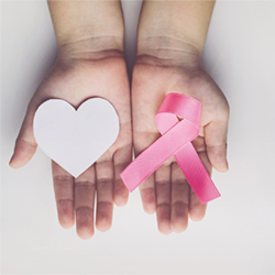 Ein Herz und eine pinke Schleife.