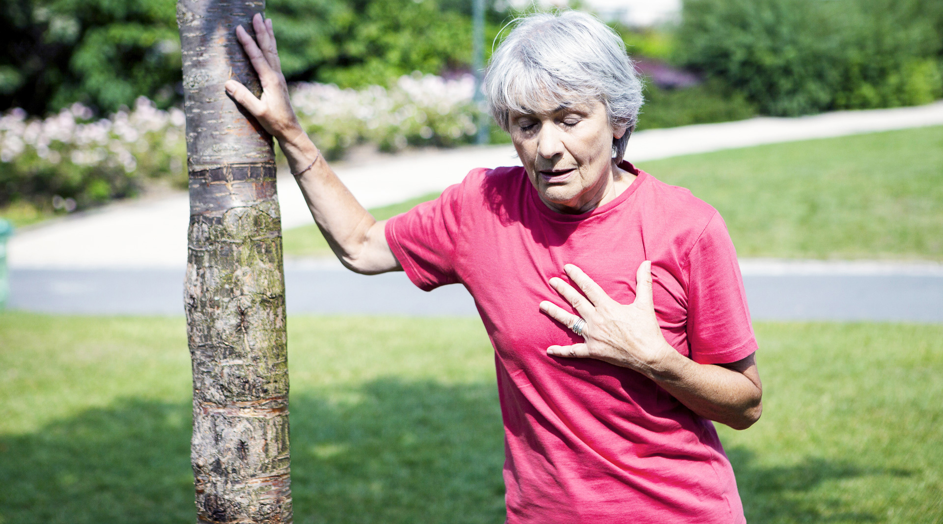 Zum Artikel: Angina pectoris – ein Symptom, viele mögliche Ursachen